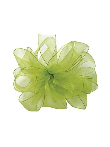 Lime, Wired Encore Ribbon