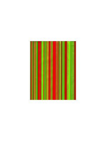 Red/Green Sidney, Masculine Gift Wrap