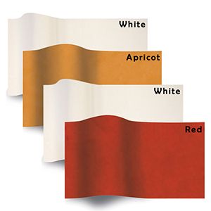 Color & White Tissue Paper Package