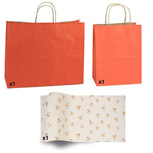 Tera cotta Shadow Stripe Bags and Printed Tissue Paper