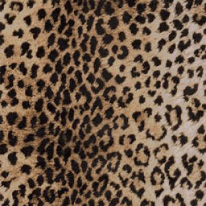 Animal Print Gift Wrap, Leopard Print Linework