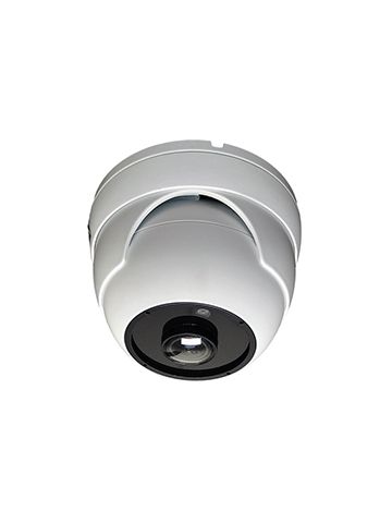 Fish-Eye Camera Security Dome